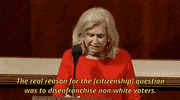 news carolyn maloney GIF