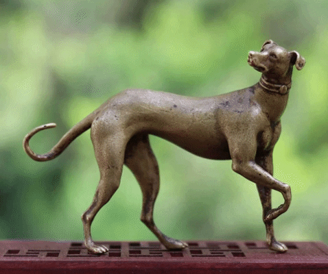 iLoveMyPet giphygifmaker whippet gifts whippet love pure bronze good luck statue whippet statue GIF