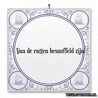 Ontdekken Ratten GIF by Tegelspreuken.nl