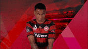 Western Sydney Wanderers Dancing GIF by wswanderersfc