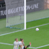 Punch Save GIF by JuventusFC