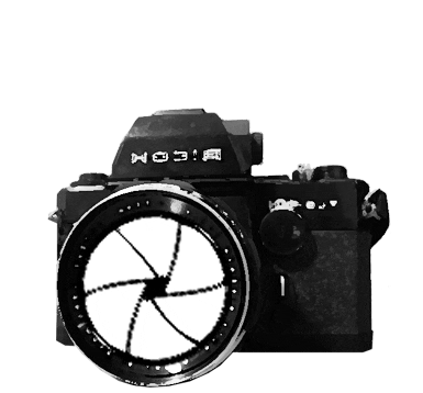 camera STICKER
