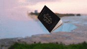 The Tunnel GIF by Niagara Parks