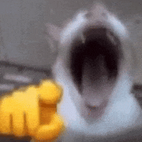 Mocking Someone GIFs - Find & Share on GIPHY