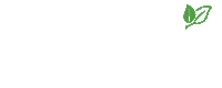 Descomplica Sticker by Pormade Online