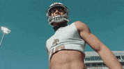 College Football GIF by Texas State Football