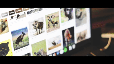 Animated GIF