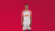 Football What GIF by RB Leipzig