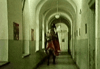 Film Horse GIF