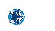 STLCC sports blue white fox Sticker