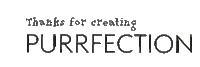 Cats Perfection Sticker by FLYERALARM