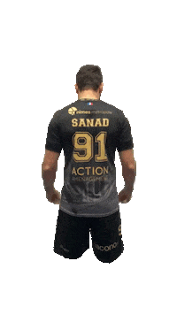 Europe Handball Sticker by USAM NIMES GARD