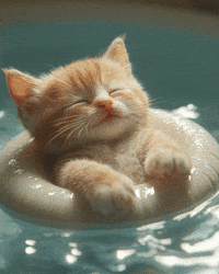 Art Sleeping GIF