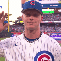 Chicago Cubs Baseball GIF