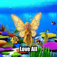 Love All Wisdom GIF by BuddhaFlyJourney