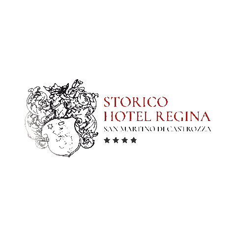 HotelRegina giphyupload hotel regina hotelregina hregina Sticker