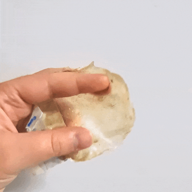 alajanbek giphyupload GIF