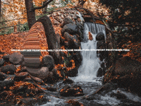 Enjoy Lol GIF by FranchiseONE.de