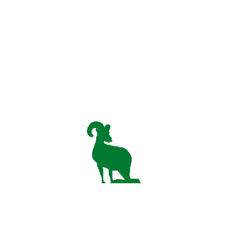 Cima Borrego Sticker by Grupo Cimarron