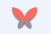 soluzionieventi fly butterfly events eventi GIF