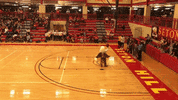 setonhilluniversity griffins seton hill seton hill university go griffins GIF