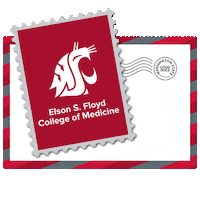 I Matched Washington State University Sticker by WSU Medicine