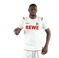 I Cant Hear You Fc Cologne Sticker by 1. FC Köln