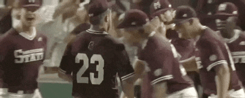 World Series Baseball GIF by NCAA Championships