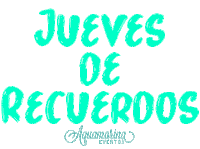 wedding planner Sticker by Aquamarina Eventos