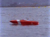 Does He Love You GIF by Reba McEntire