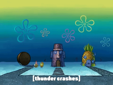 season 8 episode 3 GIF by SpongeBob SquarePants