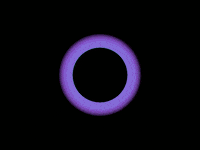 may contemporary art GIF by Bryan Unger