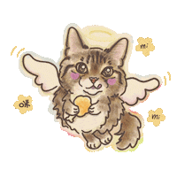 Cat Angel Sticker