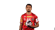 HandballAustria handball ohb handball austria julian ranftl Sticker