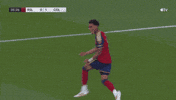 Lets Go Yes GIF by Major League Soccer