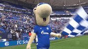 Happy Football GIF by FC Schalke 04