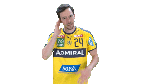 Handball-Bundesliga Dj Sticker by LIQUI MOLY HBL