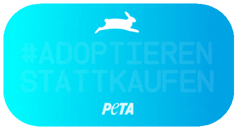 Rescue Hund GIF by PETA Deutschland e.V.