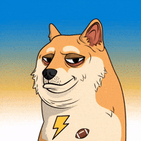 Shiba Inu Football GIF by Doge Pound