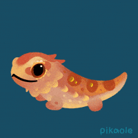 Bearded Dragon Yes GIF by pikaole