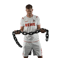 1 Fc Cologne Bundesliga Sticker by 1. FC Köln