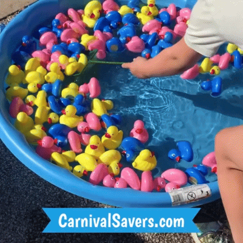 CarnivalSavers giphyupload carnival savers carnivalsaverscom duck pond carnival game - tipping ducks GIF