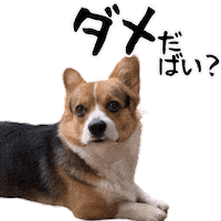Corgi Milo Sticker