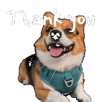 Corgi Milo Sticker
