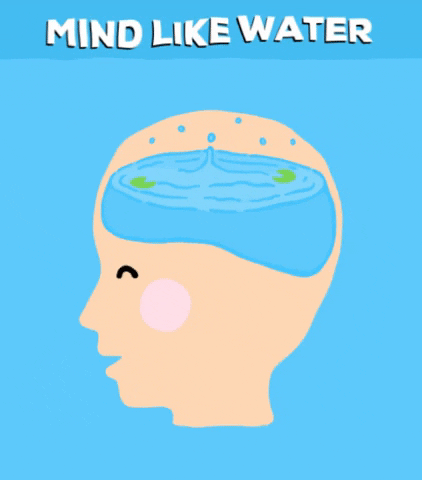 martyjacobs giphygifmaker productivity mindhacks mindlikewater GIF