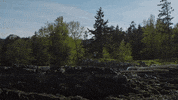 Chesapeake Shores Love GIF by Hallmark Channel
