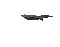 Scream Dope Sticker by The Crawl Movie