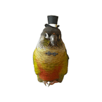 Top Hat Potato Sticker