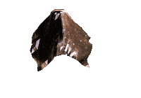 art 3d GIF by The NGB