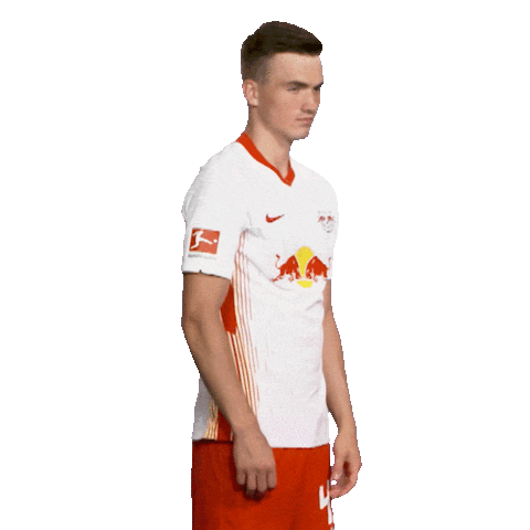 Posing Line Up Sticker by Bundesliga